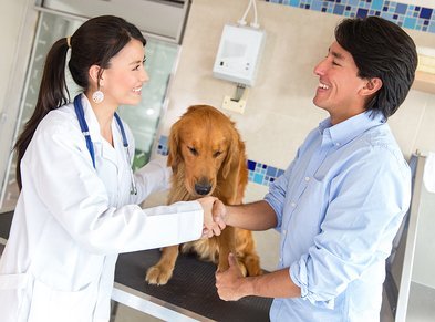 Man with his dog giving handshake to a doctor at the vet