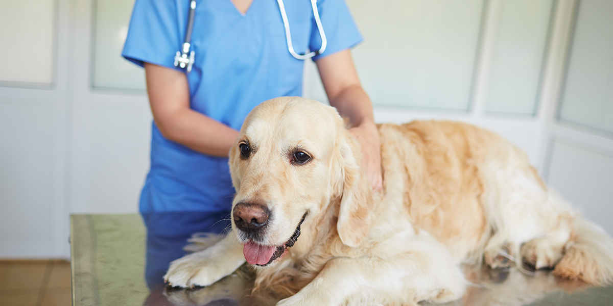 The Role of Patient Education
