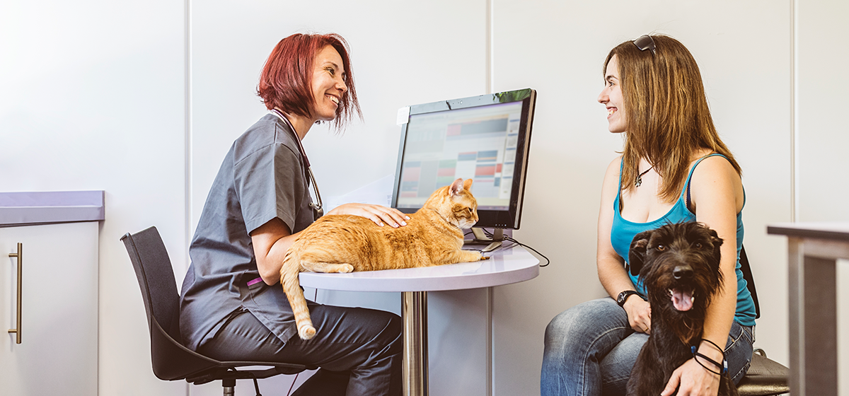 Reasons Veterinary Practices Should Offer Online Scheduling