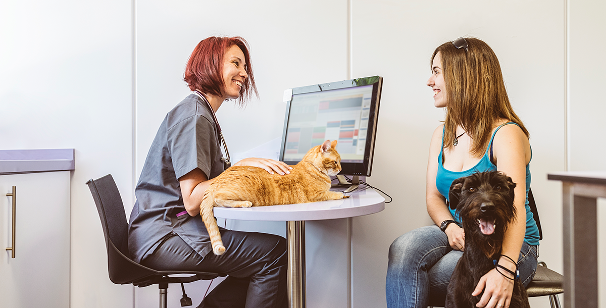 Reasons Veterinary Practices Should Offer Online Scheduling