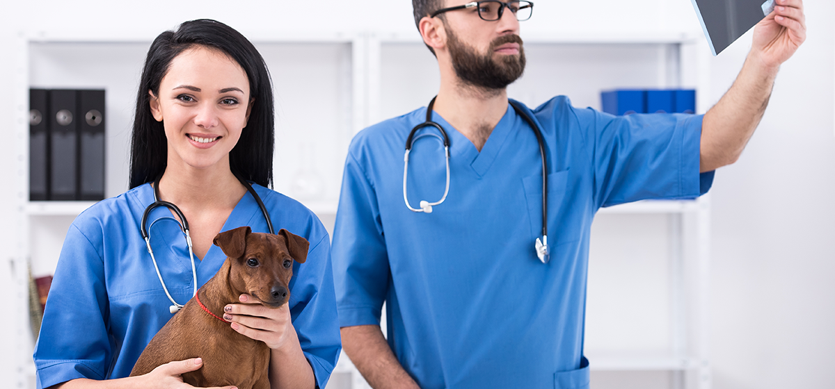 Veterinarians and pet