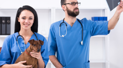 Veterinarians and pet