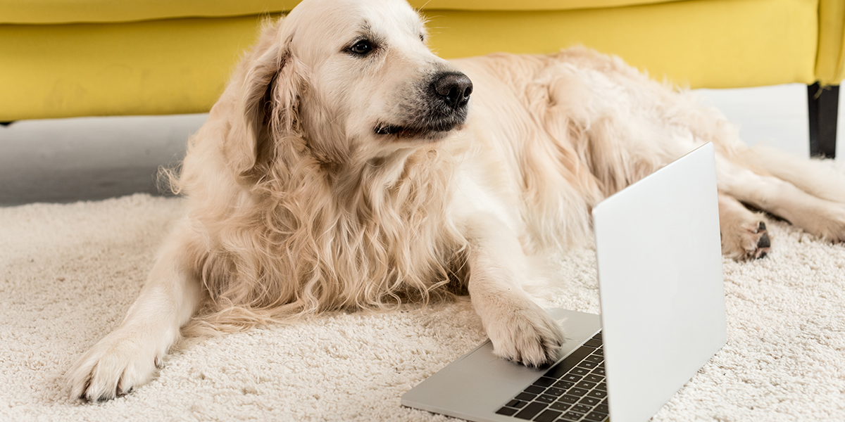 Virtual waitlist and Customer Experience